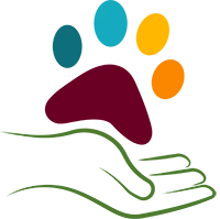 Hundeschule Hund-Mensch TeamWork | Hundetraining Heike Straub Hundeschule Hund-Mensch TeamWork | Hundetraining Heike Straub